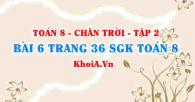 Bài 6 trang 36 Toán 8 Chân trời sáng tạo Tập 2